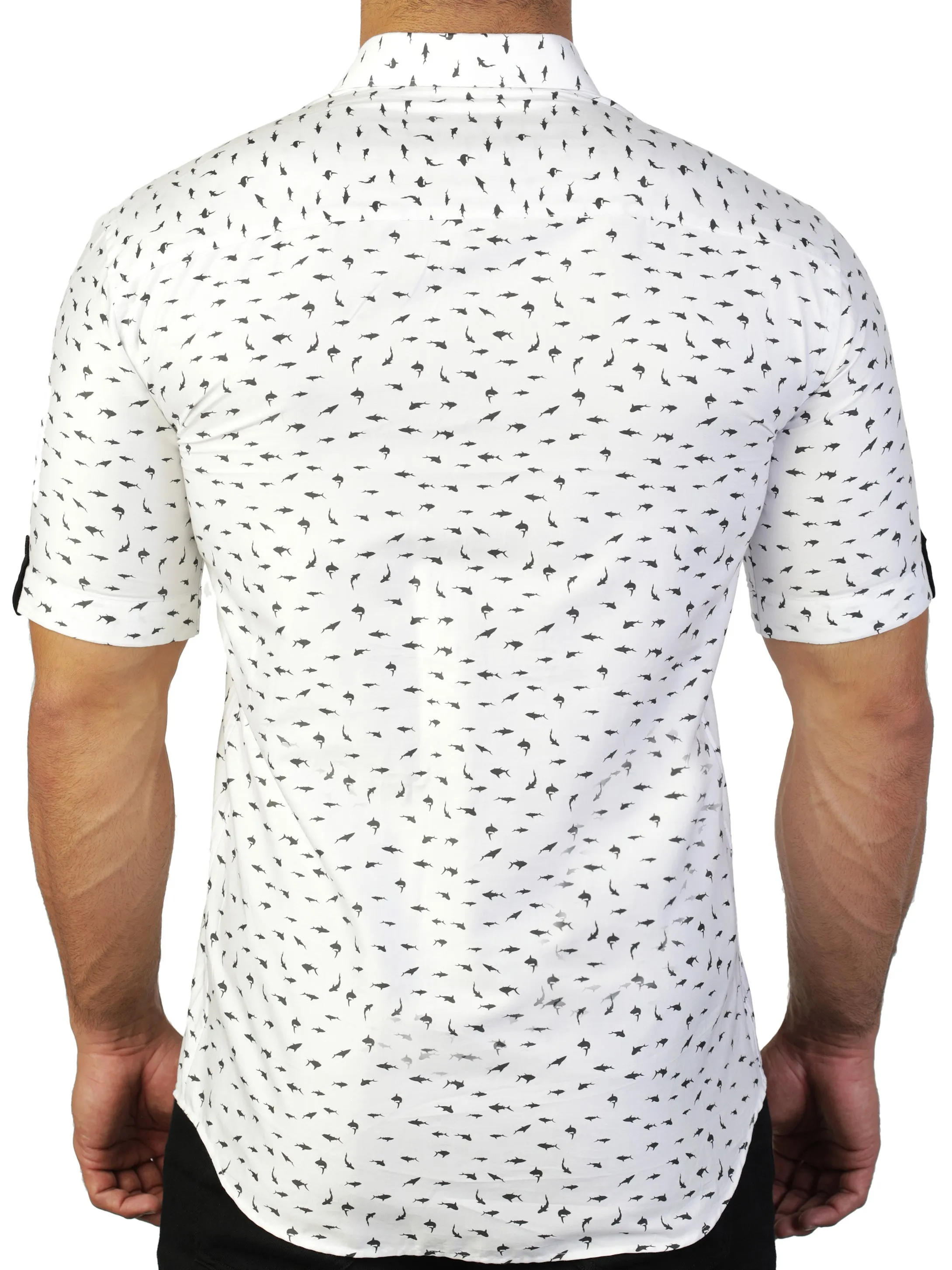 Galileo Shark White